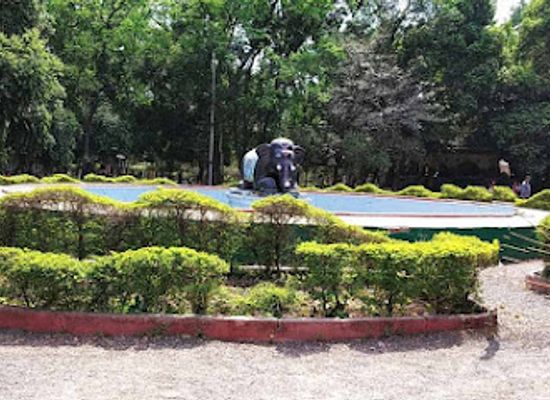 india/nagpur/attraction/maharaj-bagh-zoo