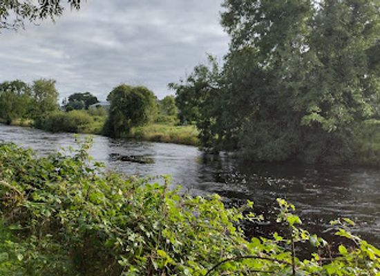 ireland/county-cavan/attraction/turbet-island