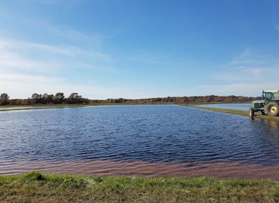 wisconsin/glacial-lake-wisconsin/attraction/glacial-lake-cranberries