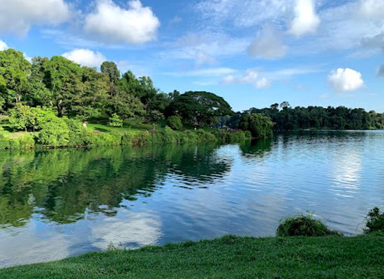 singapore/novena/attraction/macritchie-reservoir-park