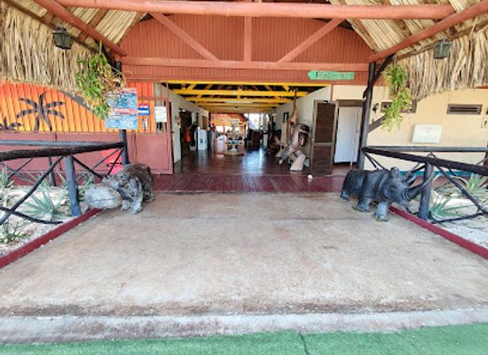curacao/klein-curacao/attraction/curacao-ostrich-farm
