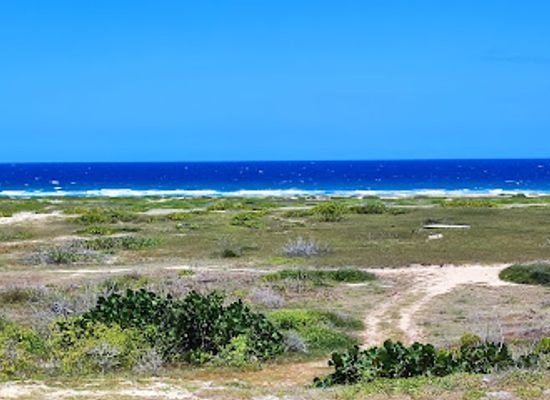 aruba/natural-pool/attraction/red-anchor