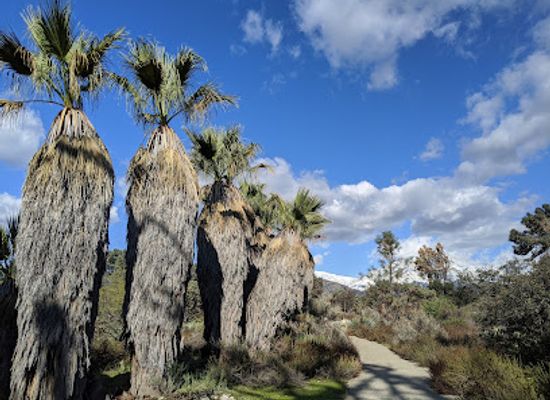 california/colorado-desert/attraction/california-botanic-garden