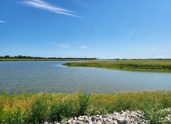 ohio/great-black-swamp/attraction/howard-marsh-metropark