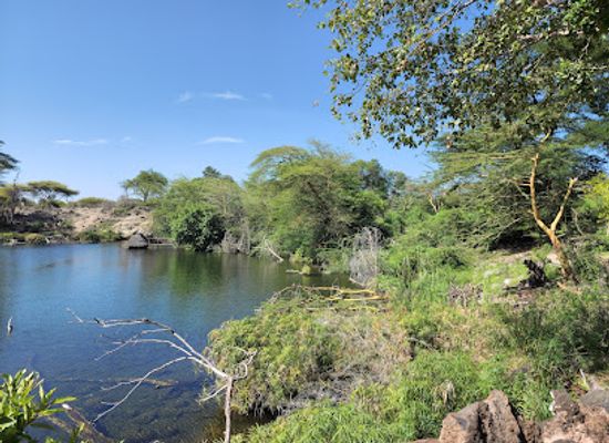 kenya/chyulu-hills/attraction/mzima-springs