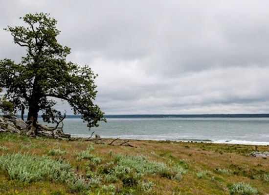 sweden/gotaland/attraction/lilla-karlso