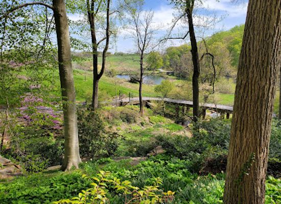 delaware/the-brandywine-valley/attraction/winterthur-enchanted-woods