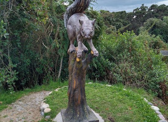 ecuador/carchi-region/attraction/bosque-de-los-arrayanes-cuba