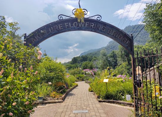 south-carolina/blue-ridge-mountains/attraction/lake-lure-flowering-bridge
