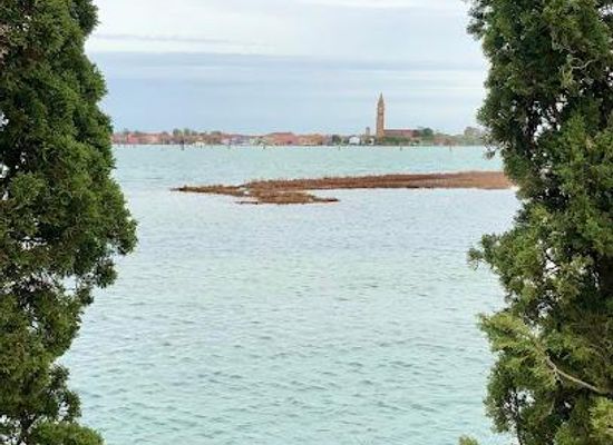 italy/venice/attraction/san-francesco-del-deserto