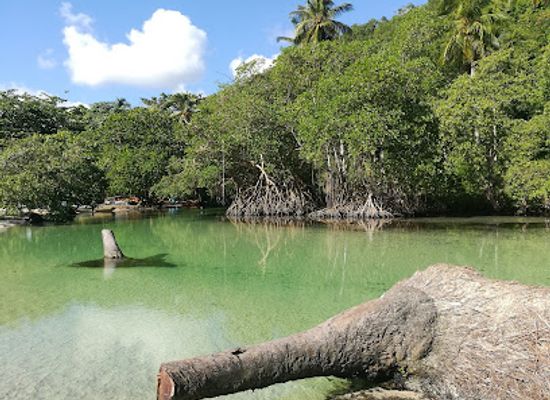 dominican-republic/samana-peninsula/attraction/playa-rincon