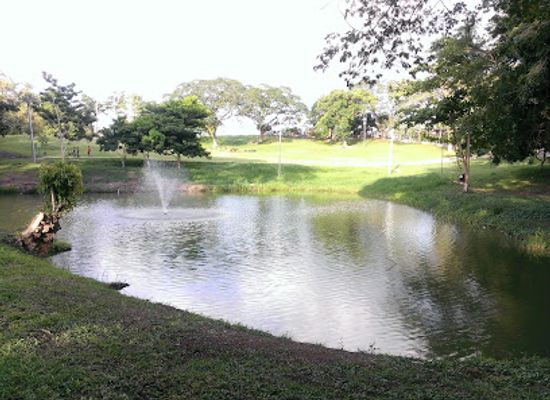 trinidad-and-tobago/st-john/attraction/palmiste-park