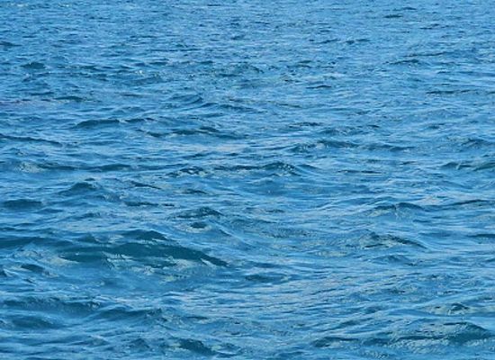 mauritius/blue-bay/attraction/dolphins