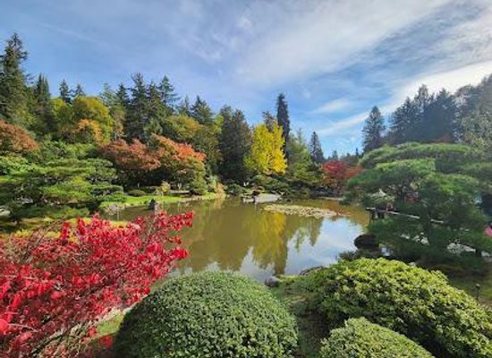 washington/bellevue/attraction/washington-park-arboretum