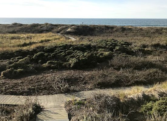 california/salinas-valley/attraction/salinas-river-state-beach
