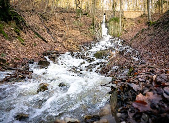 germany/taunus/attraction/billtalwasserfall