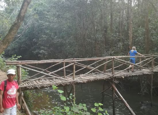 madagascar/andasibe/attraction/v-o-i-m-m-a-visit-park