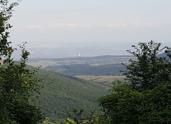 romania/alba/attraction/padurea-sloboda