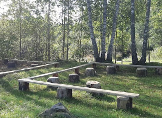 lithuania/anyksciai-treetop-walking-path/attraction/mediniu-skulpturu-parkas-praeities-takas