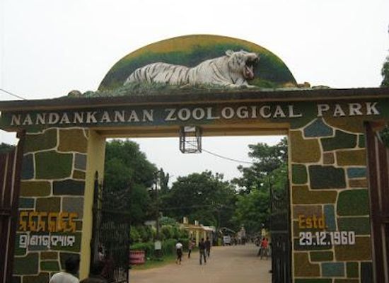 india/bhubaneswar/attraction/nandankanan-zoological-park