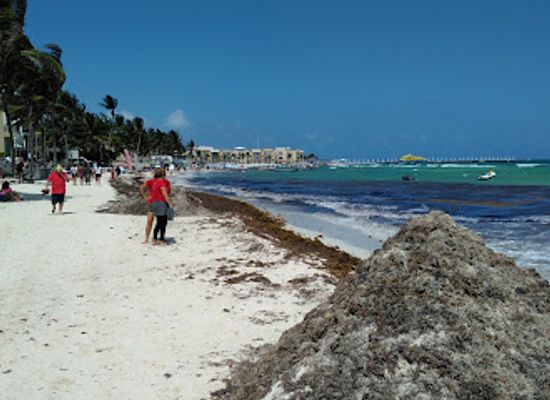 mexico/cozumel/playa-del-carmen/attraction/museo-frida-kahlo-playa-del-carmen