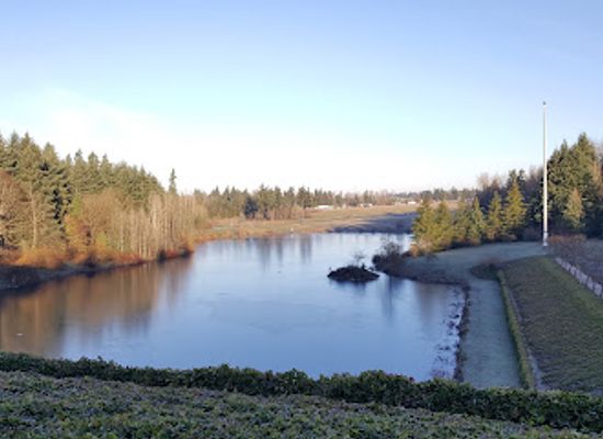 washington/mount-rainier-area/attraction/pacific-bonsai-museum