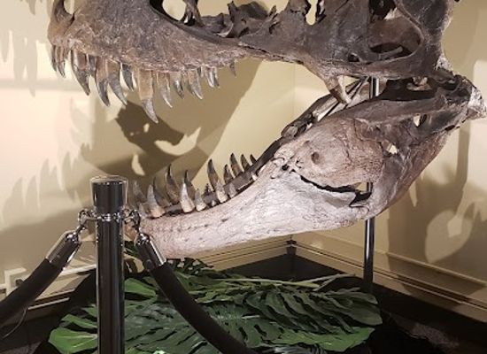 wisconsin/eastern-ridges-and-lowlands/attraction/weis-earth-science-museum