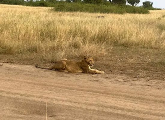 uganda/queen-elizabeth-national-park/attraction/queen-elizabeth-national-park-main-gate-kabatoro-gate