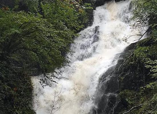 ireland/killarney/attraction/killarney-national-park