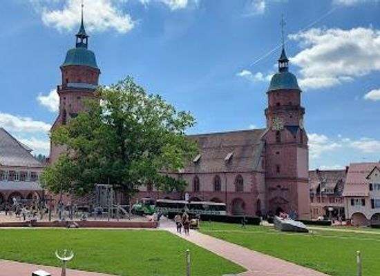 germany/freiburg/attraction/black-forest