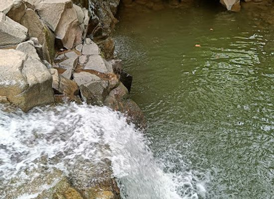 india/north-india/attraction/ringnabodi-waterfall