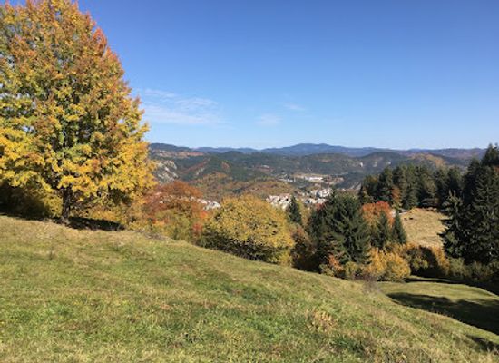 bulgaria/rhodope-mountains/attraction/Gorski-Park-Amzovo