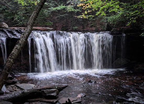 pennsylvania/lower-susquehanna-valley/attraction/ricketts-glen-state-park