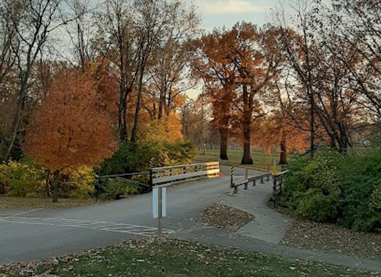 illinois/prairie-state/attraction/busey-woods