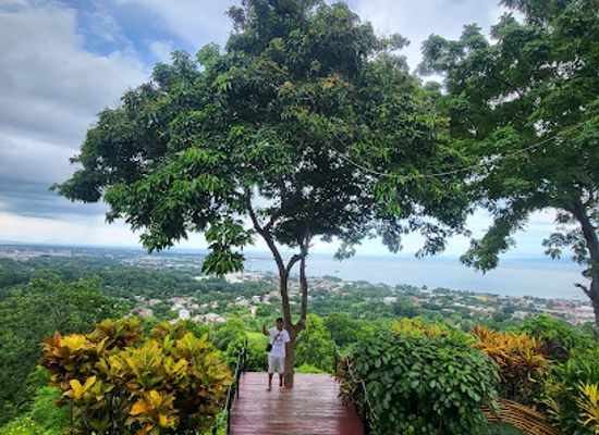 philippines/mindanao/attraction/camhills-home-of-gecko-cafe