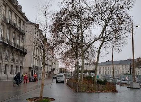 france/nantes/attraction/pl-du-bouffay