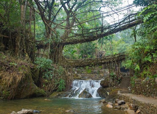 india/meghalaya/attraction/double-decker-living-root-bridge