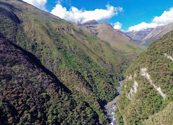 bolivia/potosi/attraction/parque-nacional-madidi