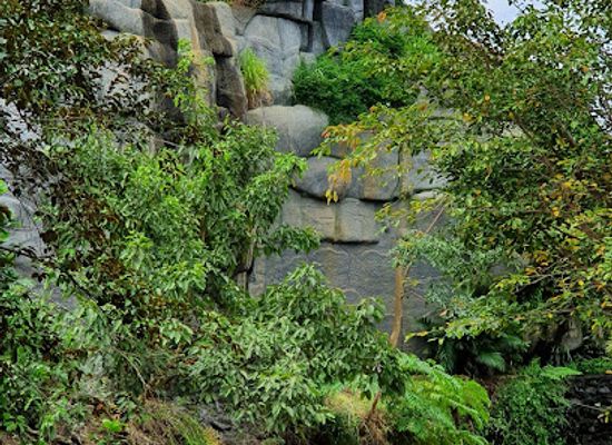 vietnam/buon-ma-thuot/attraction/bee-stream-tourist-area