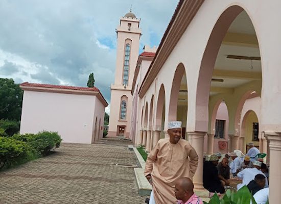 tanzania/western-zone/attraction/gadaffi-mosque