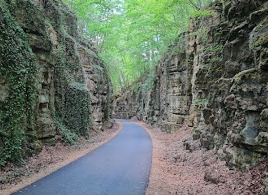 luxembourg/mullerthal/attraction/scheidgen-canyon