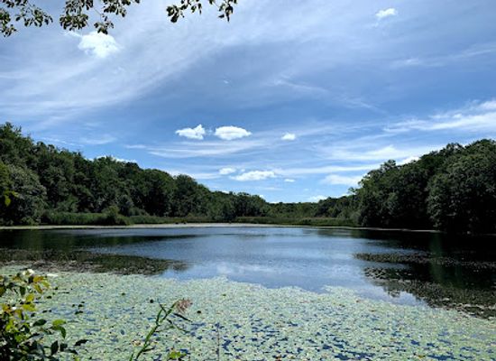 new-york/white-plains/attraction/cranberry-lake-preserve