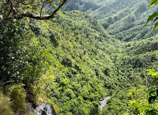 mauritius/black-river-gorges-national-park/attraction/mare-aux-joncs-waterfall