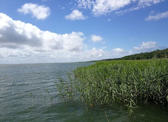 poland/kashubia/attraction/wydma-lacka