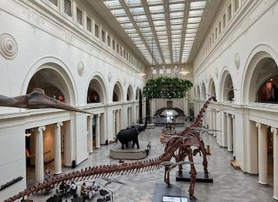 illinois/naperville/attraction/field-museum
