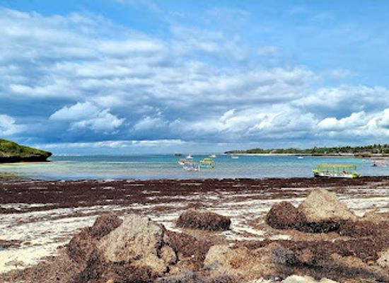 kenya/coastal-region/attraction/blue-bay-watamu