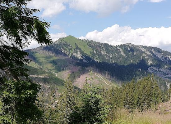 slovakia/low-tatras-national-park/attraction/symbolicky-cintorin-jasna-ostredok