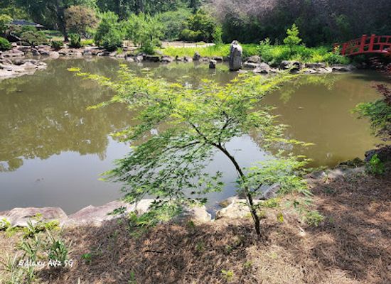 alabama/cahaba-river/attraction/birmingham-botanical-gardens