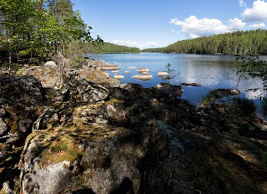 finland/savonlinna/attraction/nahkiaissalo-nature-trail