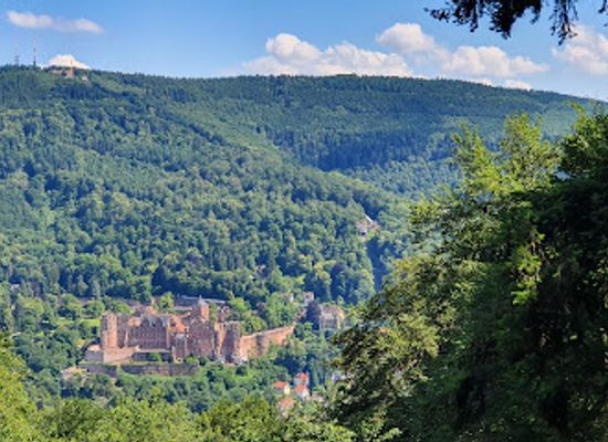 germany/heidelberg/handschuhsheim/attraction/heiligenberganlage-thingstatte